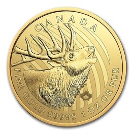 Zew natury: Jeleń Wapiti 1 uncja Złota 2017 (moneta w karcie)