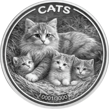 Monedă de Argint Cats 1 uncie de Argint 2026 Prooflike