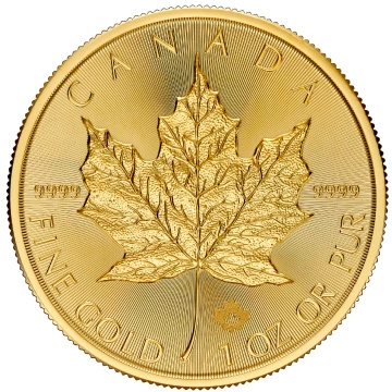 Canadian Maple Leaf 1/4 oz Gold 2026