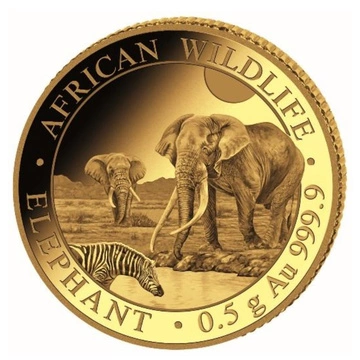 African Wildlife Elefant somalez 0,5 g Aur 2026